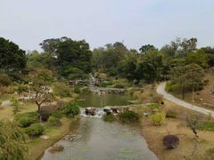 -东莞植物园