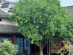 -丝绸小镇荻港古村