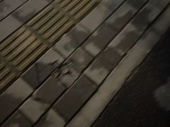-竹园竹升面(西关总店)
