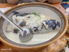 -全乐鱼馆·淳牌有机鱼直营店