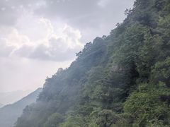 -王顺山国家森林公园