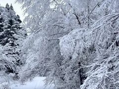 -叠溪松坪沟景区