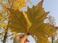 -重庆中央公园(渝北区)