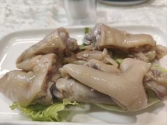-丁老爷子苏香圆