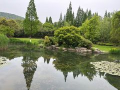 -习家池