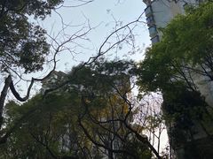 -荔香公园
