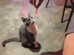 -MIKAKU(万达广场上海宝山店)