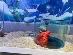 -海合安青岛极地海洋公园