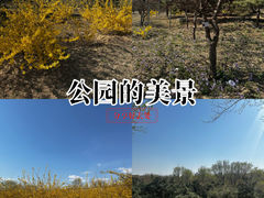 -云岗森林公园