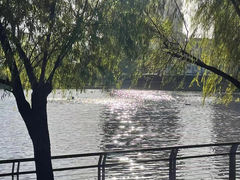-东山湖公园