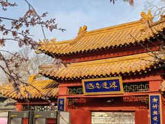 -桃花堤公园