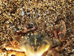 -抹直口特色菜馆(一店)