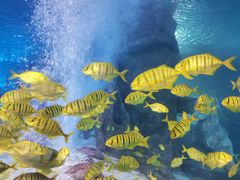 -太平洋海底世界