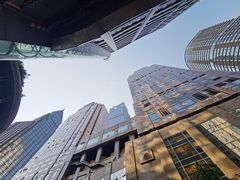 -一只酸奶牛(八一路店)
