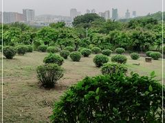 -紫马岭公园