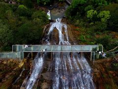 -九龙江国家森林公园