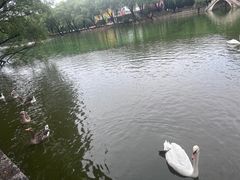 -石家庄市动物园