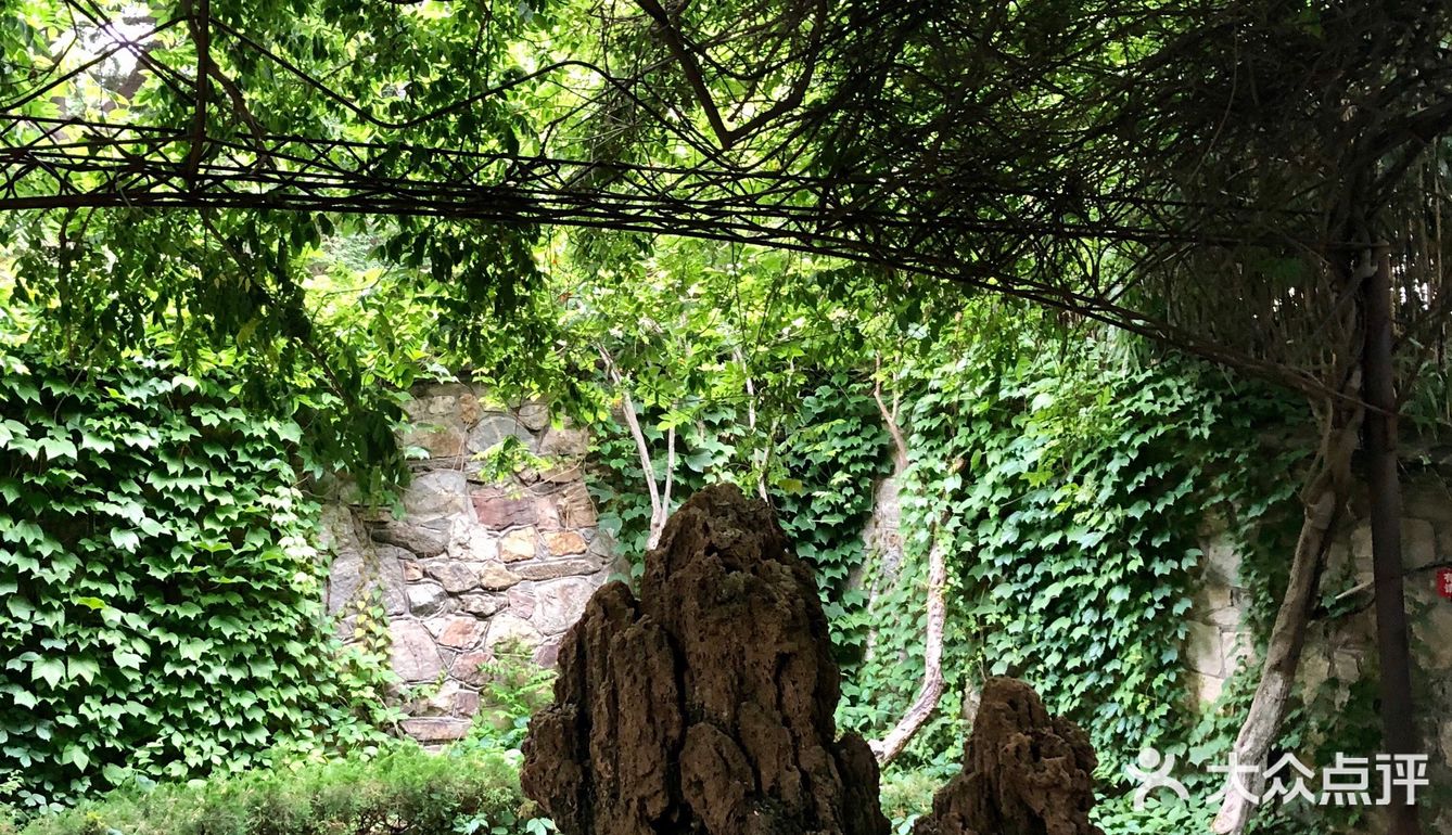 烟台山⛰️
