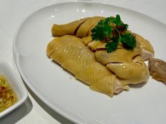 -侨美食家·40年地道粤菜(珠江新城店)