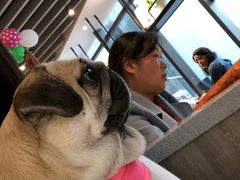 -肯德基(新阳光店)