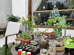 -她说户外烧烤团建(西湖店)