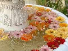 -秀儿家の小确幸花园西餐厅