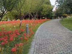 -白塘生态植物园