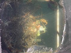 -蓝湾碧波·老字号·疍家非遗海上餐厅