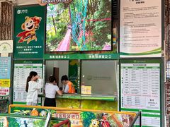 -芦仙山景区-飞越丛林探险乐园