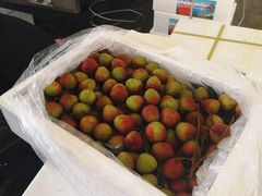-西郊国际农产品交易中心
