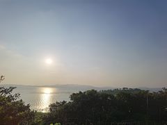 -美味之家·湖景农家乐(太湖东山店)