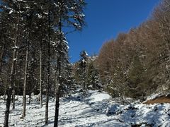 -硗碛藏寨·神木垒景区