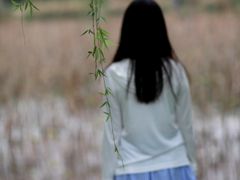 -白鹭湾湿地公园