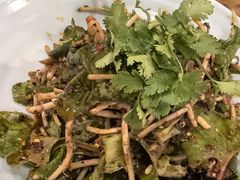 -桐梓锅贴饺(桃源东路店)