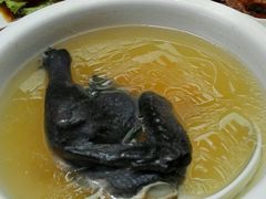 乌鸡汤-万柳阁小馆·花园餐厅(龙潭湖店)