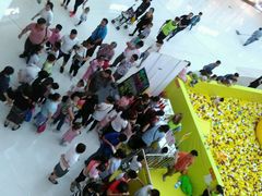 -万达广场(东营西城店)