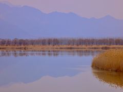 -野鸭湖国家湿地公园