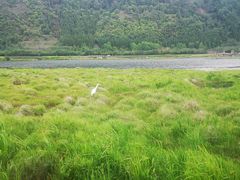 -腾冲北海湿地
