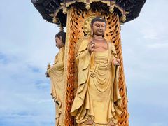 -溱湖国家湿地公园