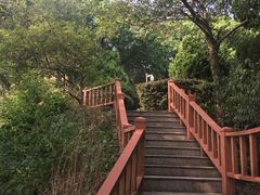 -上海市保健医疗中心(华东疗养院)