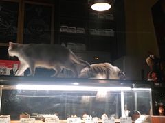 -咖法森林·咖啡  酒吧(天河店)