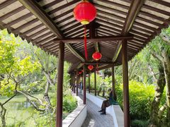-上海醉白池公园