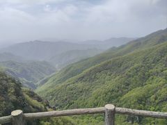 -牛背梁国家森林公园
