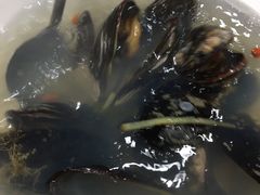 -食鼎记海鲜大排档(美食街店)