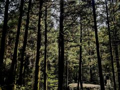-大罗山风景区