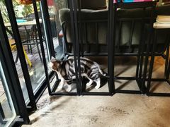 -咖法森林·咖啡  酒吧(天河店)