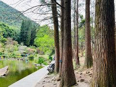 -深圳仙湖植物园