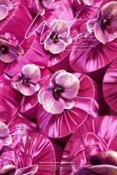 -卡卡喜糖伴手礼·商务礼宝宝礼·婚礼用品