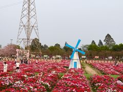 -盈香心动乐园