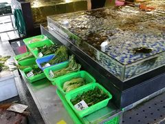-顺德了能馆(虎门店)